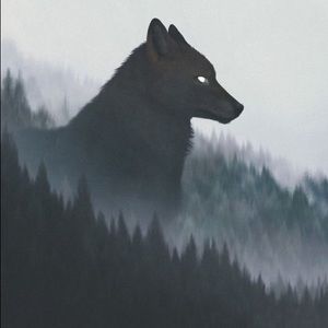 Meet your Posher, Jeralyn